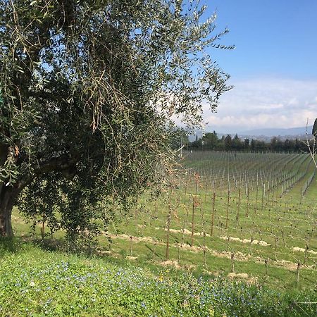Tenuta La Ca Бардолино Экстерьер фото