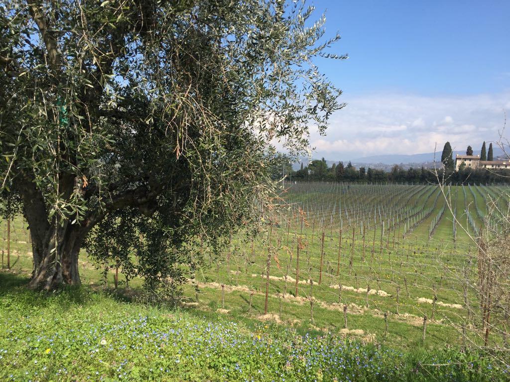 Tenuta La Ca Бардолино Экстерьер фото